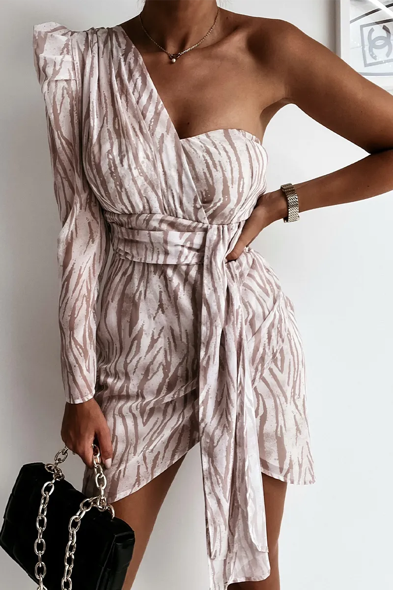 Animal Print One Shoulder Mini Dress